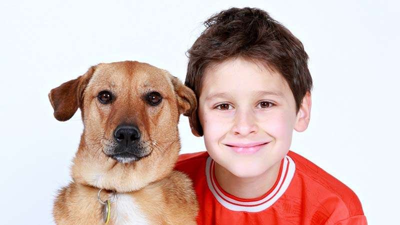 10 Tips for Choosing the Best Dog Breeds for Kids